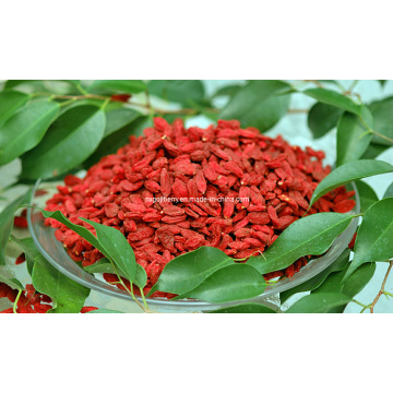 Organic Goji Berry (0002)